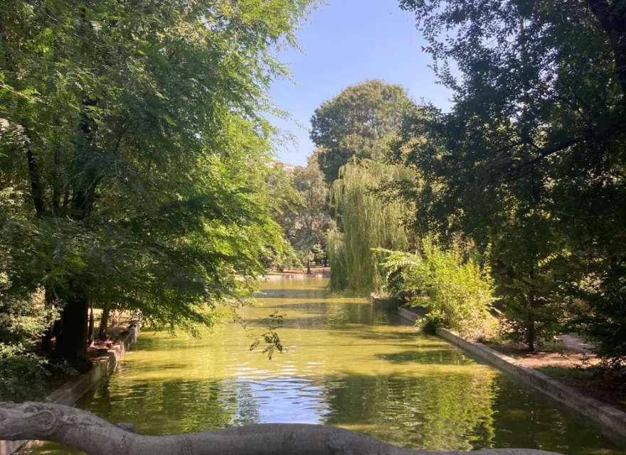 A shaded park lake framed by trees in Bucharest, Romania