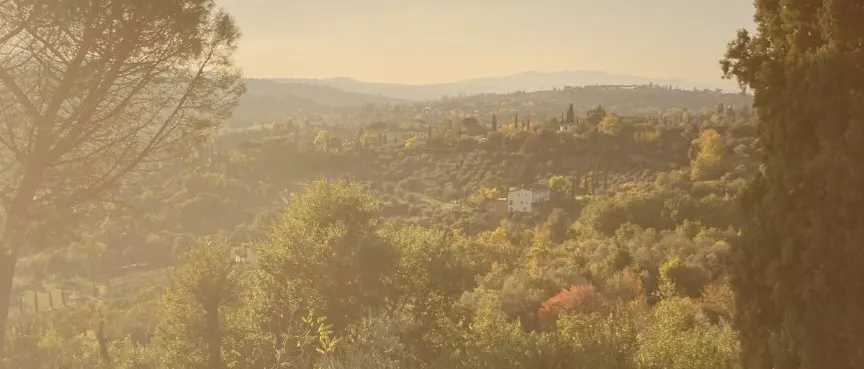 Sunlit Tuscan hills and cypress trees in Florence, Italy