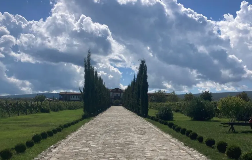 A cypress-lined stone path leading to a vineyard estate near Tbilisi, Georgia