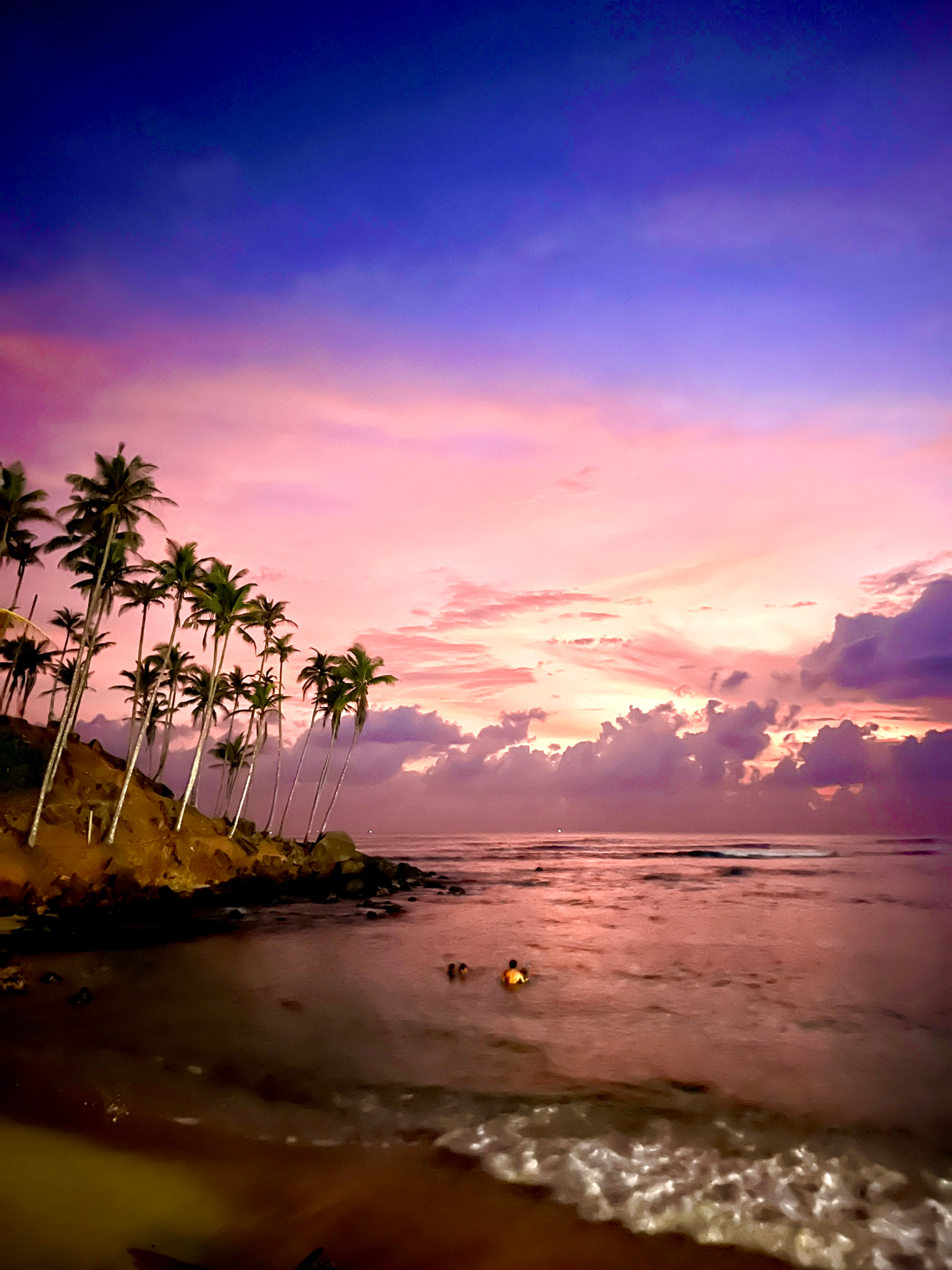 Palm trees over a pink sunset at Weligama beach, Sri Lanka