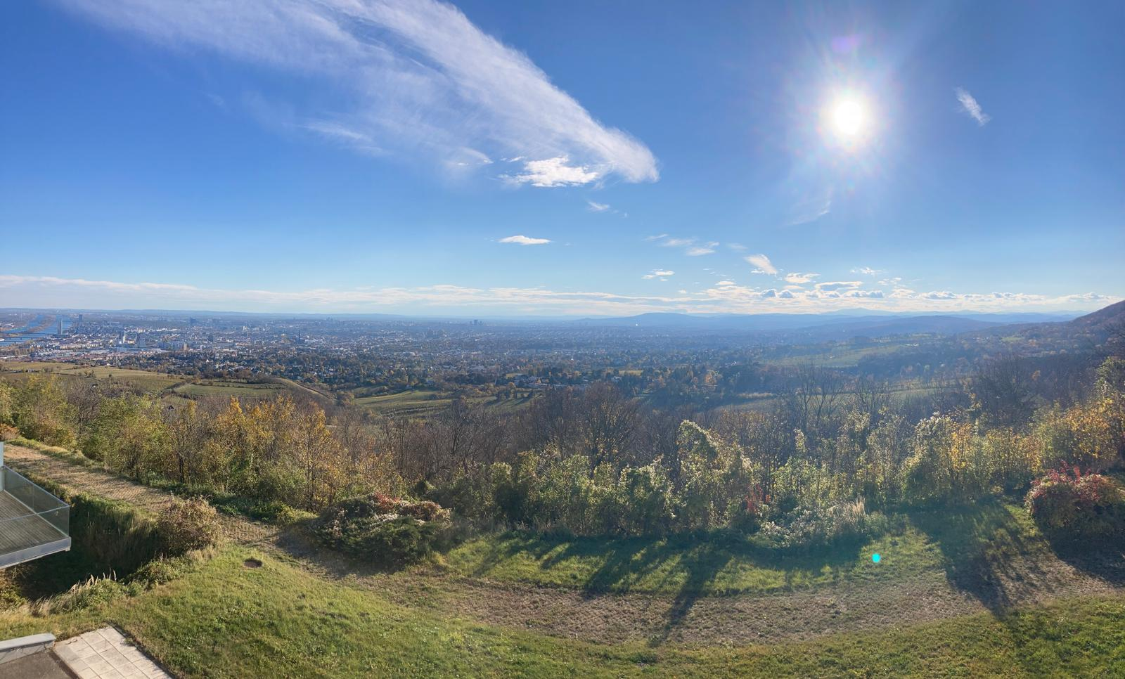 Vienna overlook